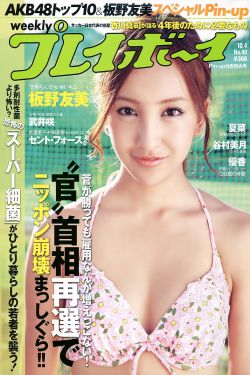 电视剧天若有情2